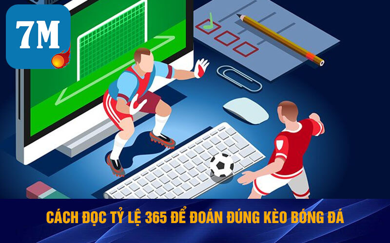 Tỷ Lệ 365 - 7m Soi Kèo Tỷ Lệ 365 Chính Xác Nhất Hiện Nay 5 Cách đọc tỷ lệ 365 để đoán đúng kèo bóng đá