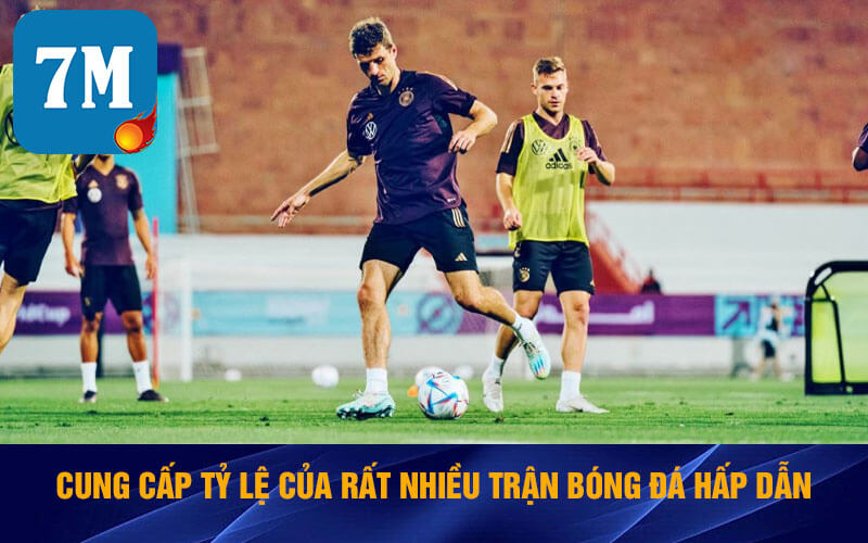 Tỷ Lệ S2 - Khám Phá Tỷ Lệ 7m S2 Trả Thưởng Siêu Hấp Dẫn 5 Cung cấp tỷ lệ s2 của rất nhiều trận bóng đá hấp dẫn