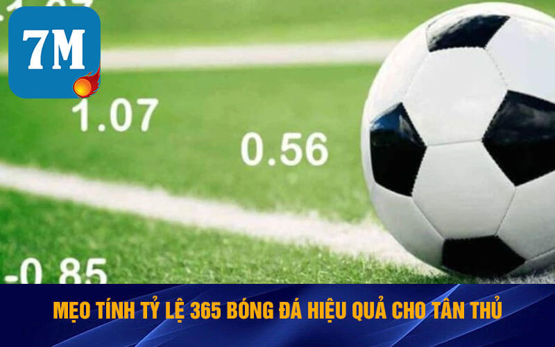 Tỷ Lệ 365 - 7m Soi Kèo Tỷ Lệ 365 Chính Xác Nhất Hiện Nay 4 Mẹo tính tỷ lệ 365 hiệu quả cho tân thủ