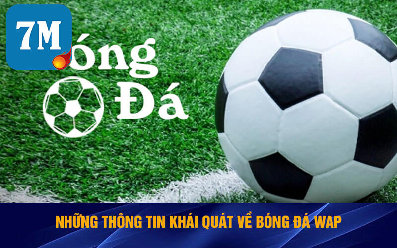 Tỷ Lệ Bóng Đá Wap Nhanh Chóng Và Chính Xác Tại Web 7ms 4 Những thông tin khái quát về tỷ lệ bóng đá wap