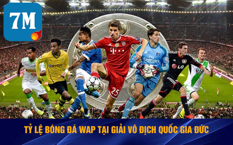 Tỷ Lệ Bóng Đá Wap Nhanh Chóng Và Chính Xác Tại Web 7ms 5 Tỷ lệ bóng đá wap tại giải vô địch quốc gia Đức