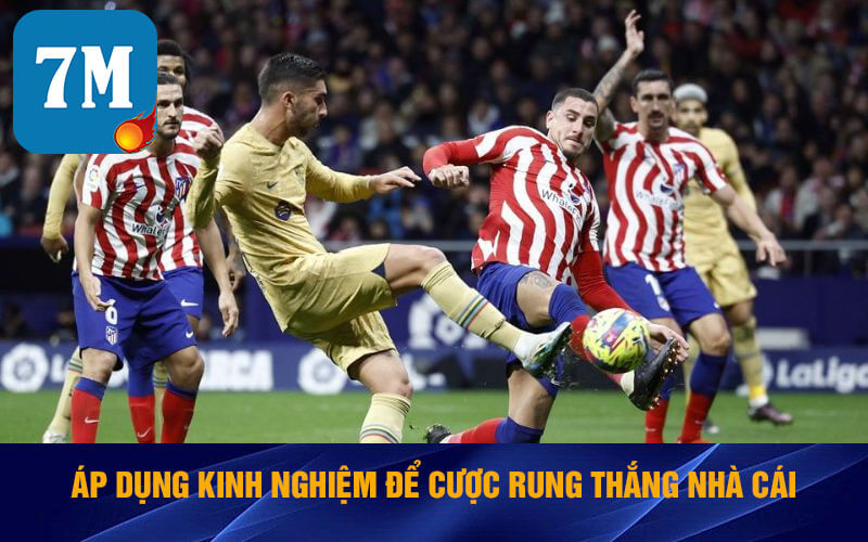 Kèo Rung Là Gì? Những Điều Hấp Dẫn Về Cá Cược Rung 7 Áp dụng kinh nghiệm để cược rung thắng nhà cái