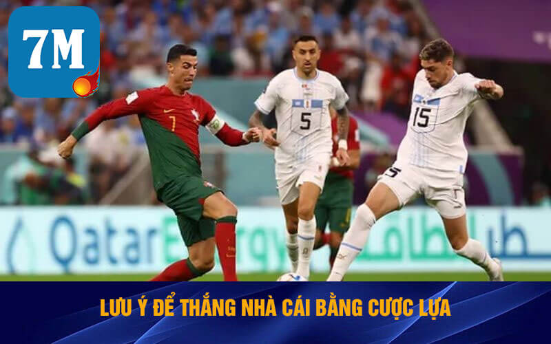 Kèo Lựa Là Sao? Một Số Cách Chơi Cược Lựa Bóng Đá 7 Lưu ý để thắng nhà cái bằng cược lựa