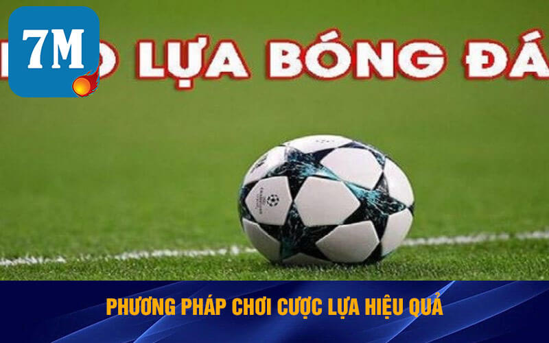 Kèo Lựa Là Sao? Một Số Cách Chơi Cược Lựa Bóng Đá 6 Phương pháp chơi cược lựa hiệu quả