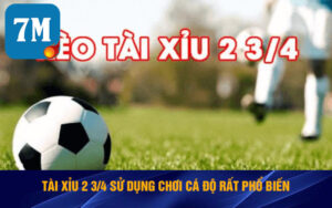 Tài Xỉu 2 3/4 Là Gì ? Cách Chơi Cá Độ Về Tổng Bản Thắng 2.75 9 Tài xỉu 2 3/4 sử dụng chơi cá độ rất phổ biến